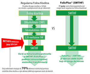 Folna-Kiselina-U-aktivnom-obliku-za-trudnice-i-dojilje